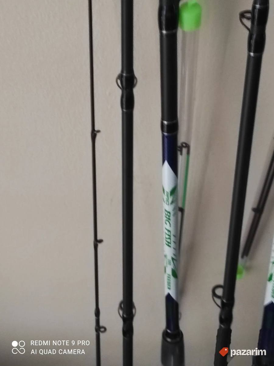 feder PRO BIG fich 60-150 gr 3m, 3,3m ,3,9m 3