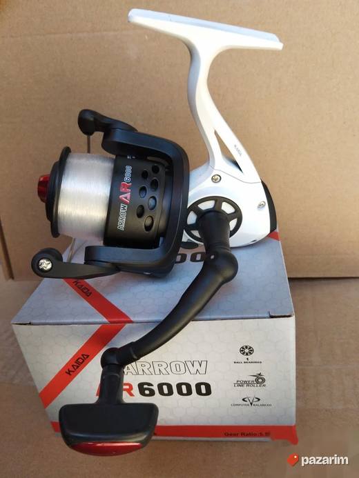 Masinice kaida AR6000