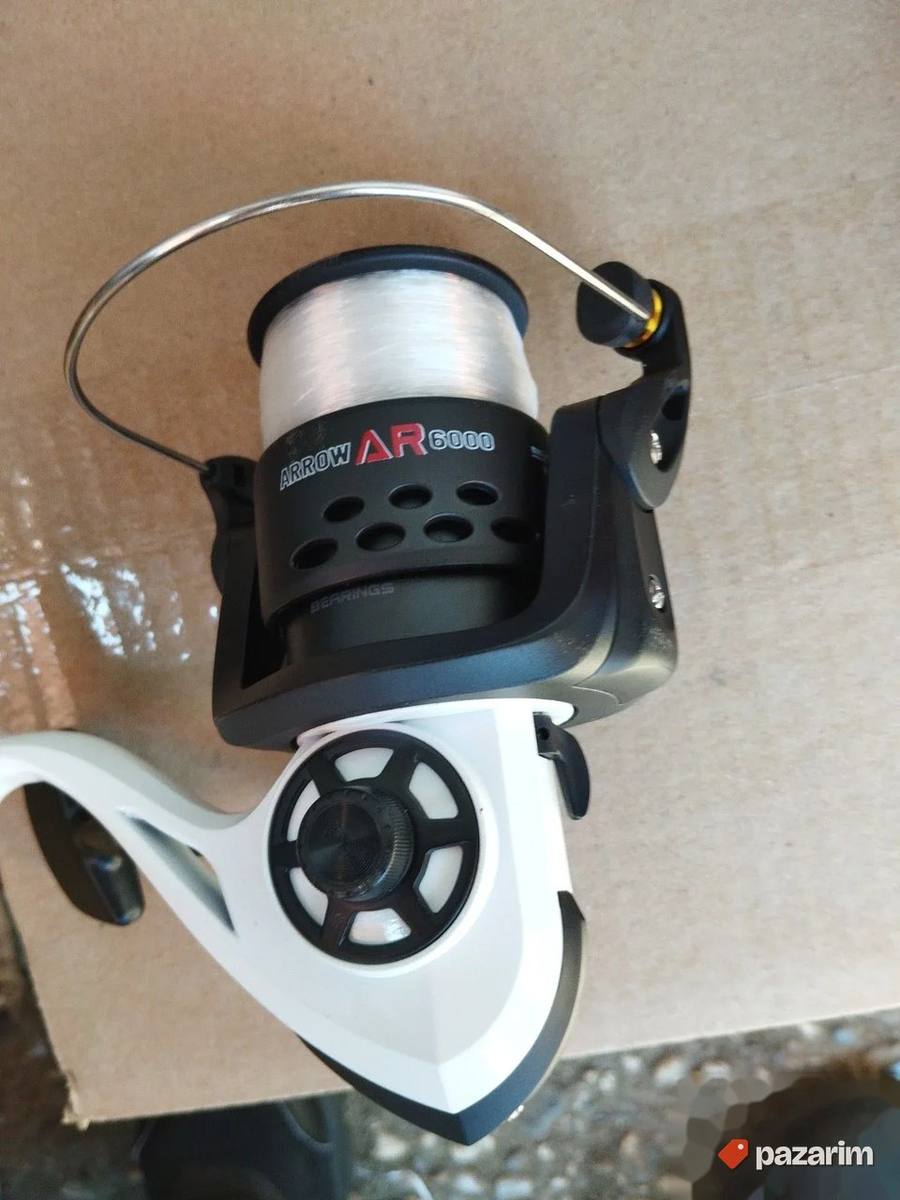 Masinice kaida AR6000 6