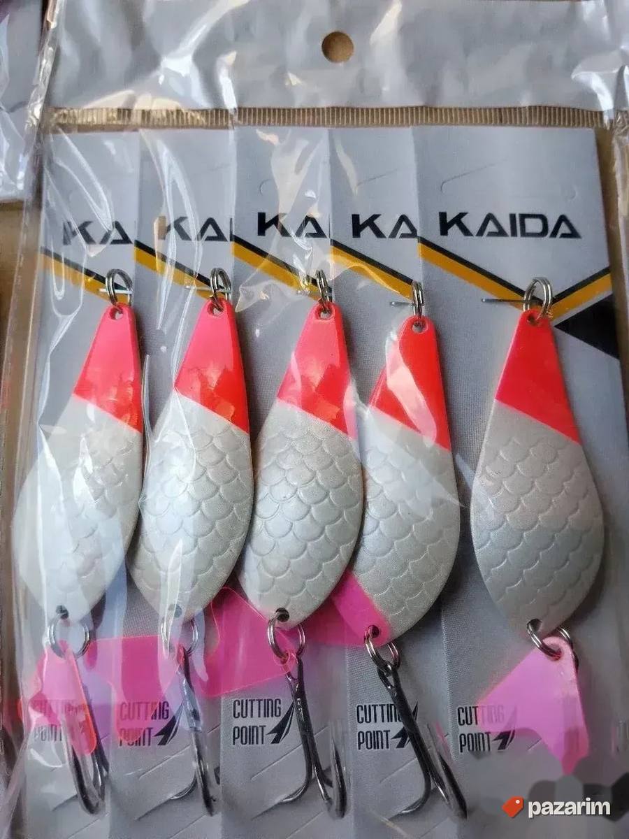 Kasike kaida 21 gr 2