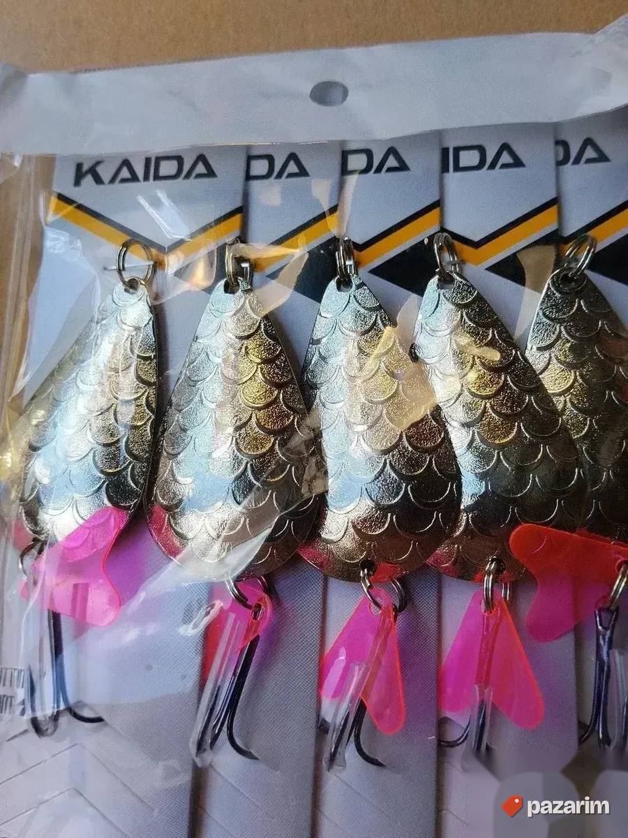 Kasike kaida 21 gr 4