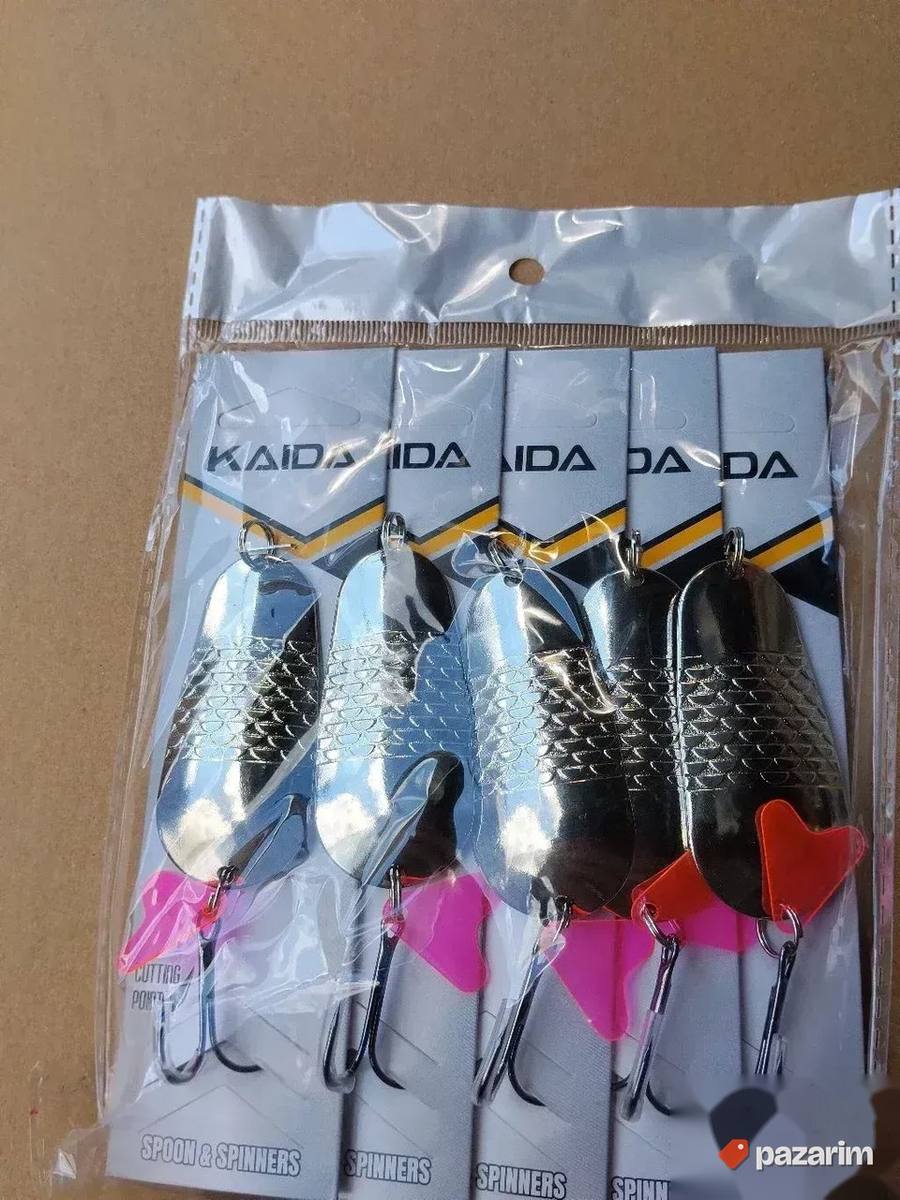 Kasike kaida 21 gr 6