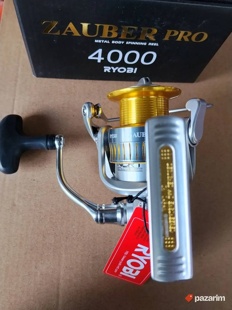 ryobi zauber 4000pro 6