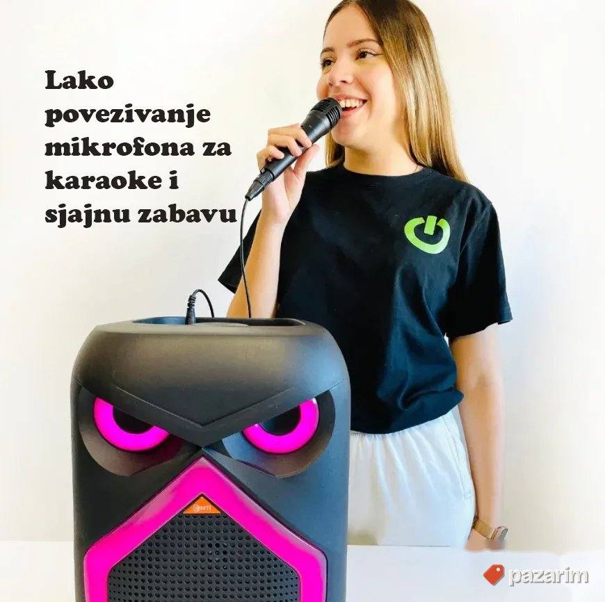 EXTRA Bluetooth Zvučnik 40cm Black Panter - USB RADIO RGB 2