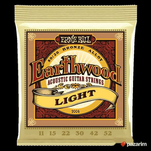 Ernie Ball 2004 zice za akusticnu gitaru