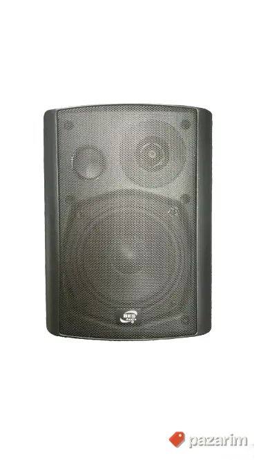 Bes audio BWL813 zidni zvučnik