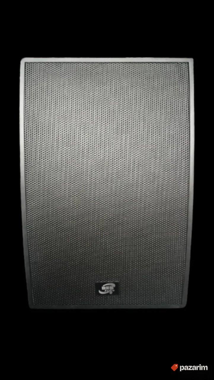 Bes audio BWS-606 zidni zvučnik 1