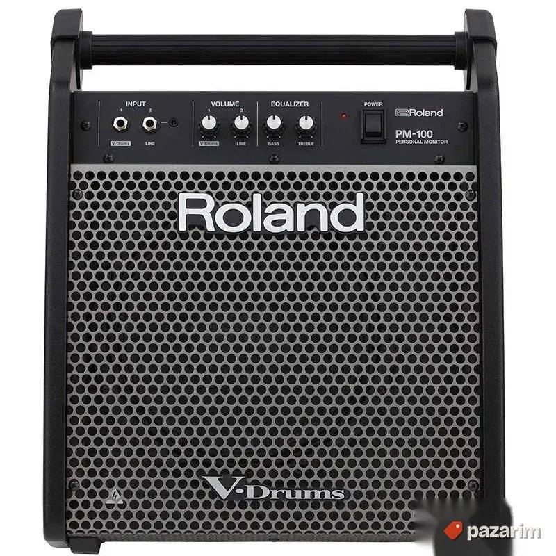 Roland PM-100 1