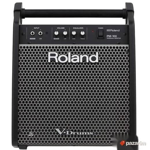Roland PM-100