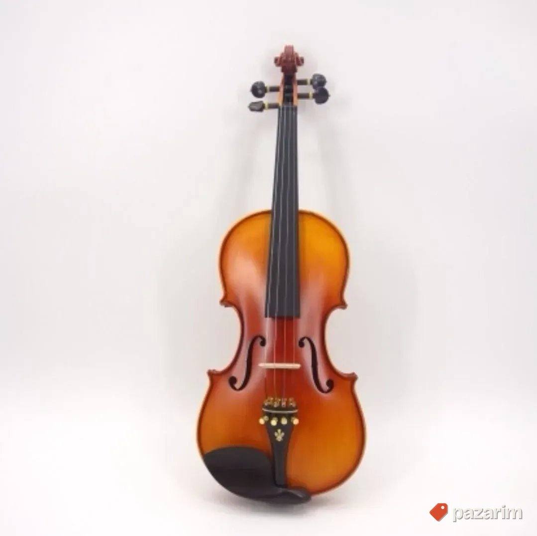 Violina Basic 4/4 1