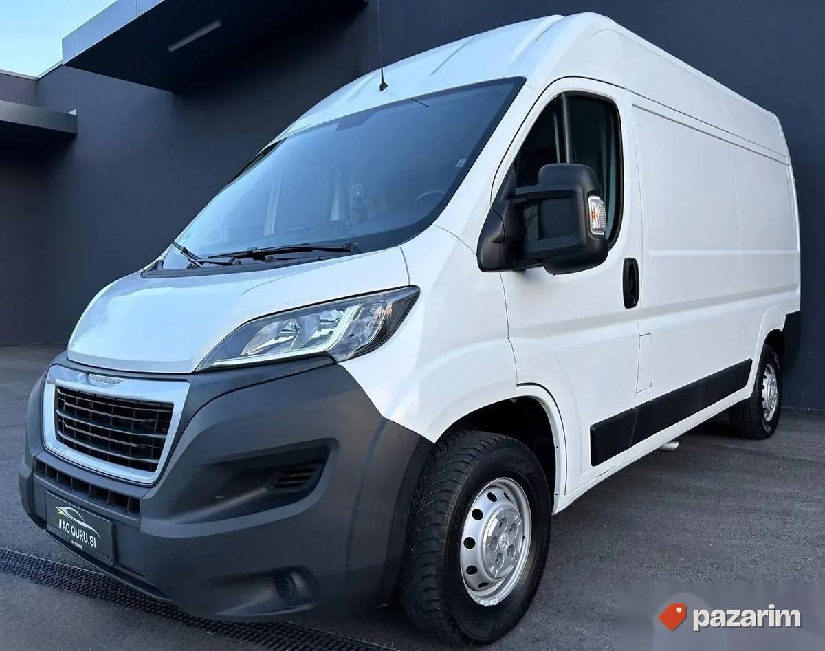 Pezo Boxer 2018. 1