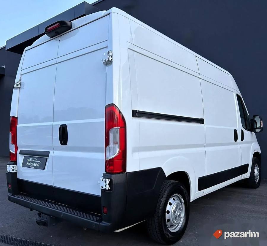 Pezo Boxer 2018. 2
