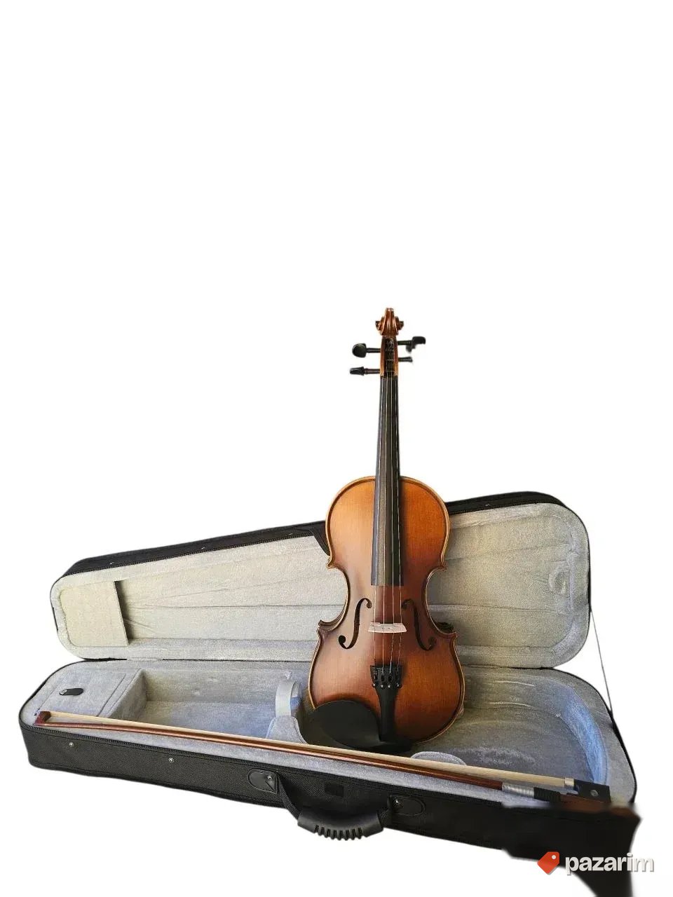 Violina sa gudalom i koferom 2