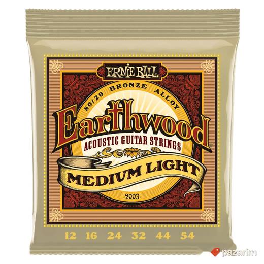 Ernie ball Eartwood 2003 medium ligh
