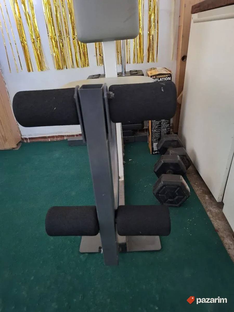 Gladijator Weider 8950 6