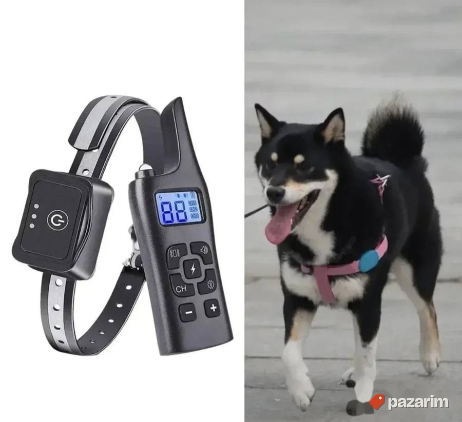Ogrlica je najnoviji tip za pse 3