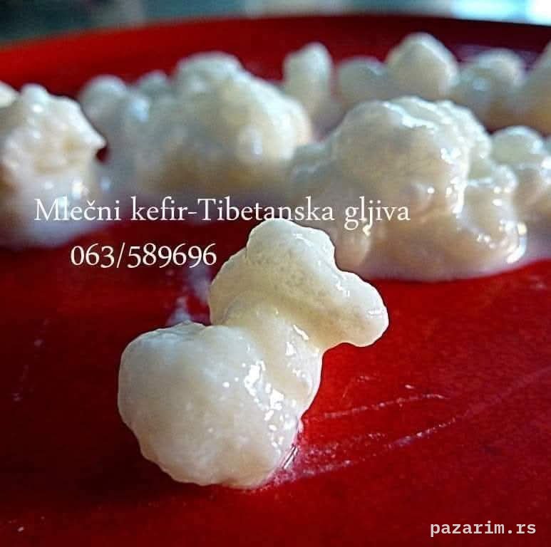 Domaći mlečni kefir, kefirna kultura 1