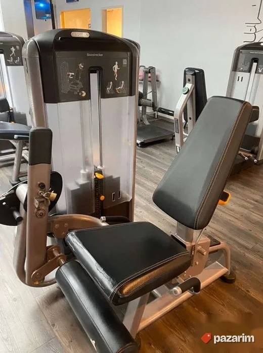 Precor DSL Leg Extension