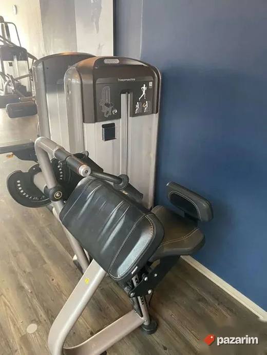 Precor DSL Triceps