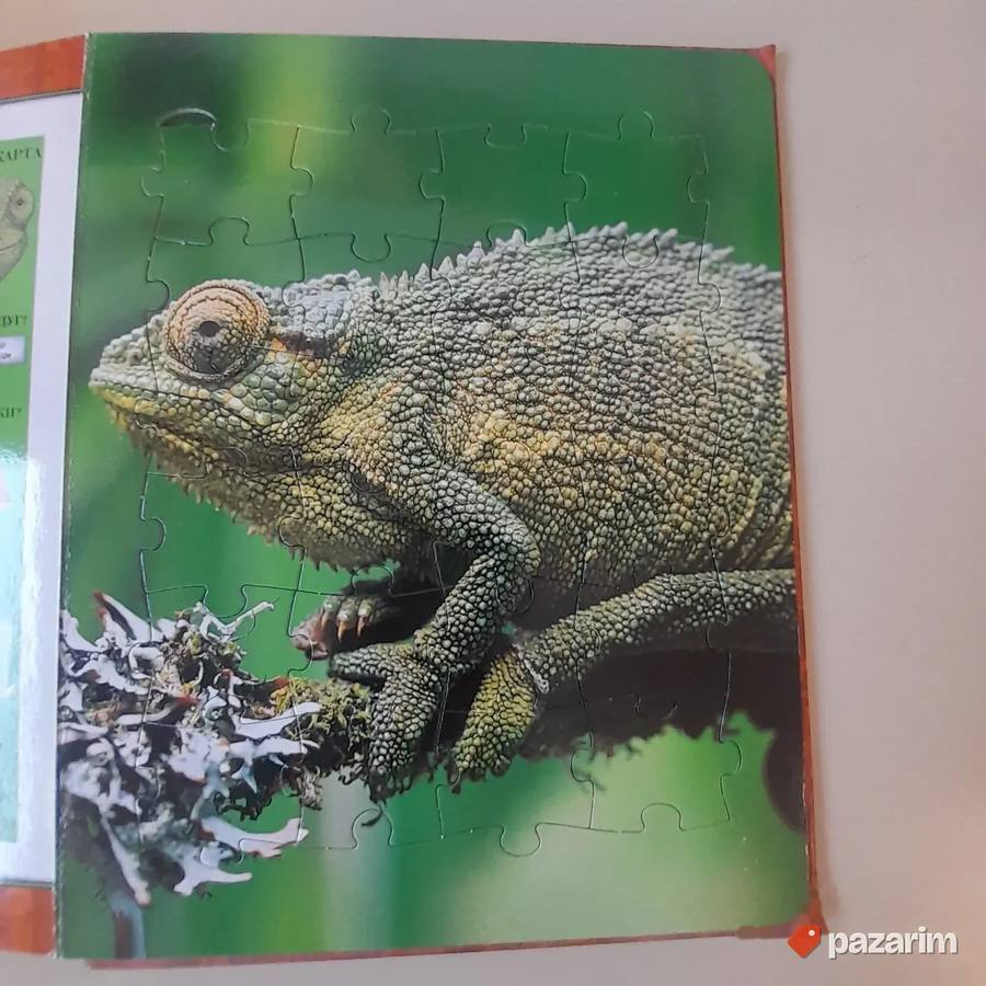 Knjiga: Životinje iz džungle 2