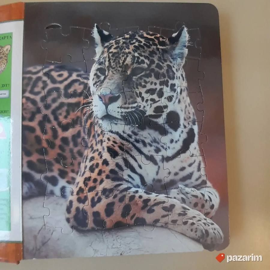 Knjiga: Životinje iz džungle 4