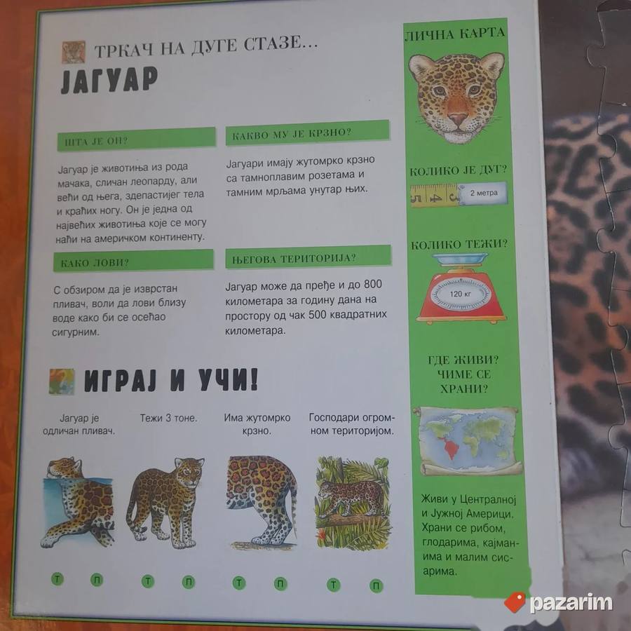 Knjiga: Životinje iz džungle 8
