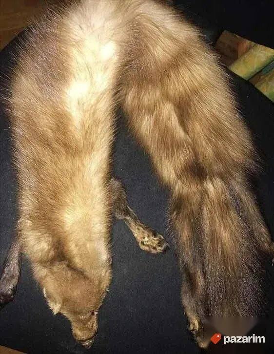 Krzneni okovratnik od kune 1