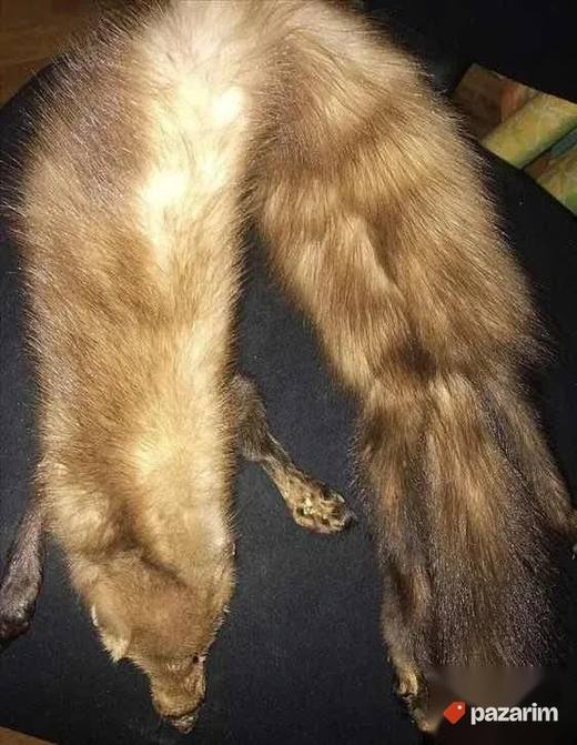 Krzneni okovratnik od kune