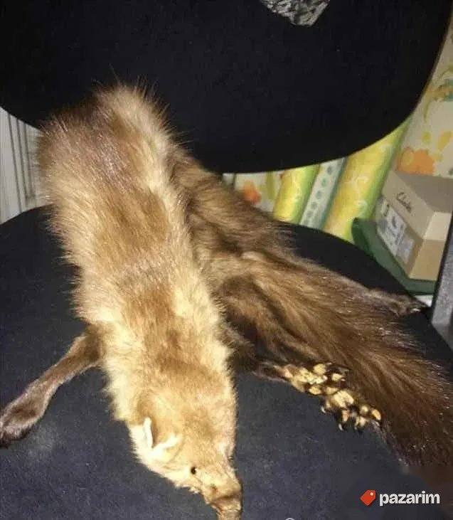 Krzneni okovratnik od kune 3