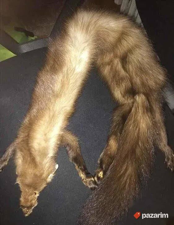 Krzneni okovratnik od kune 4