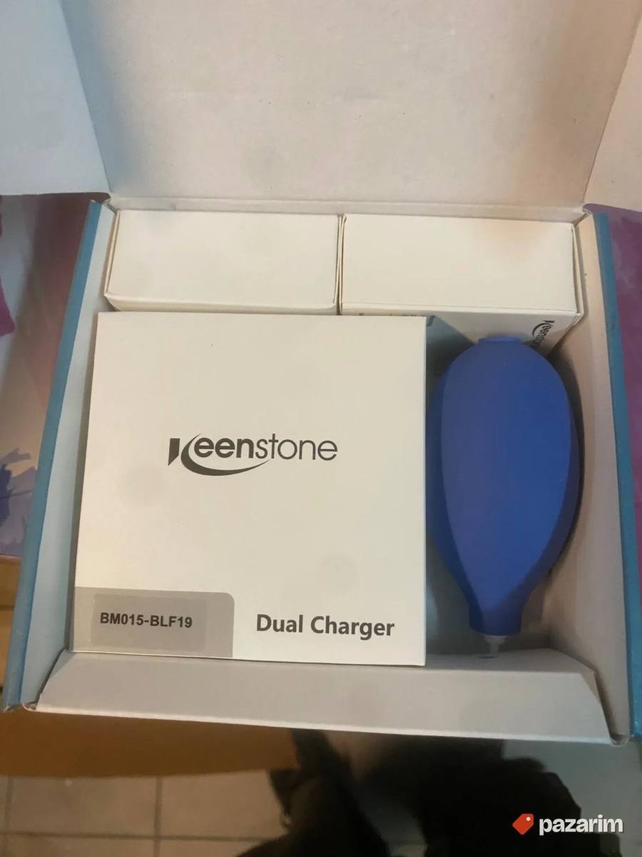 keenstone punjac sa dva baterije FOR PANASONIC DMW-BLF19E 5